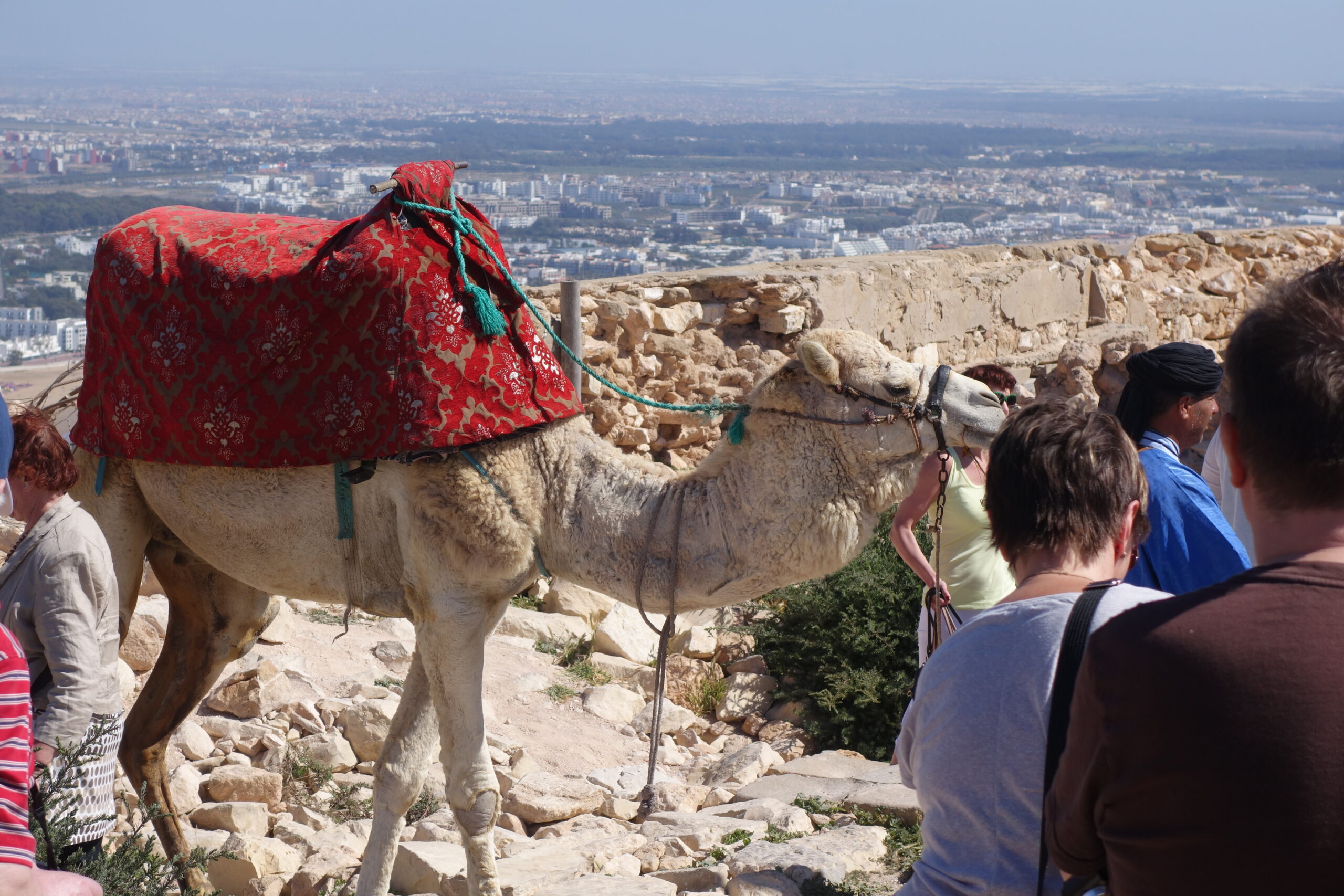 2015 Reise 4: “Mein Schiff 3” Kanaren ab Gran Canaria