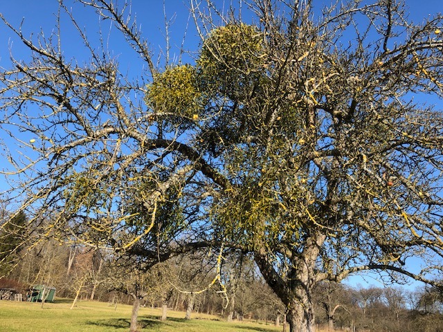 1.1. das Jahr fängt gut an!