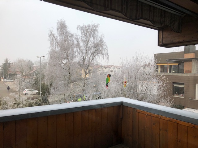 23.1. Wir fahren nach Bad Arolsen