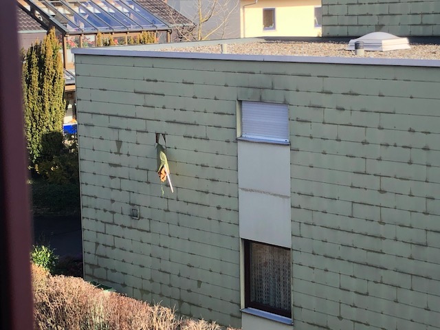 9.2. Sonnenschirm Einschlag bei Tammers