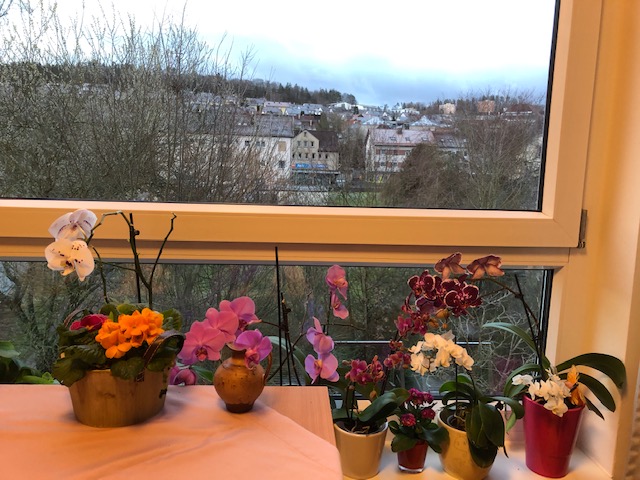 25.2. Zahnarzt Besuch mit der Oma