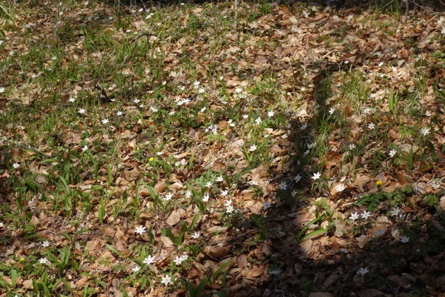 4.4. Schönbuch Radtour (RT6)