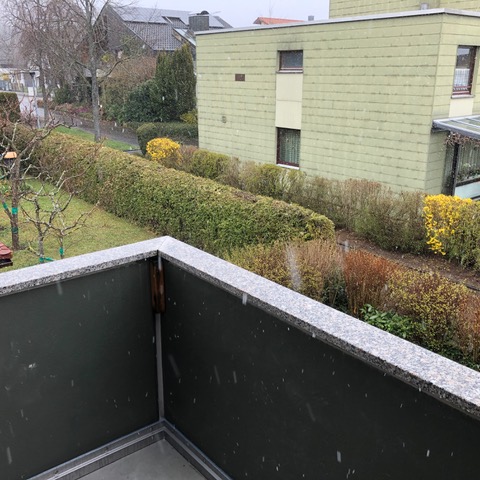 28.3. Familientreffen am Sonntagnachmittag