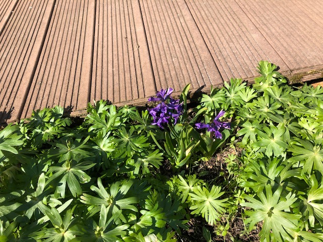 31.3. Maskenanlieferung