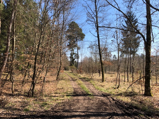 1.4. weitere Masken, auch für uns