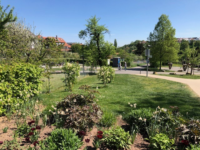 26.4. neue Perspektiven