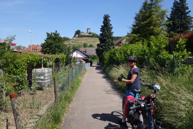 2.6. Radtour durch die Löwensteiner Berge und das Schozachtal (RT23)