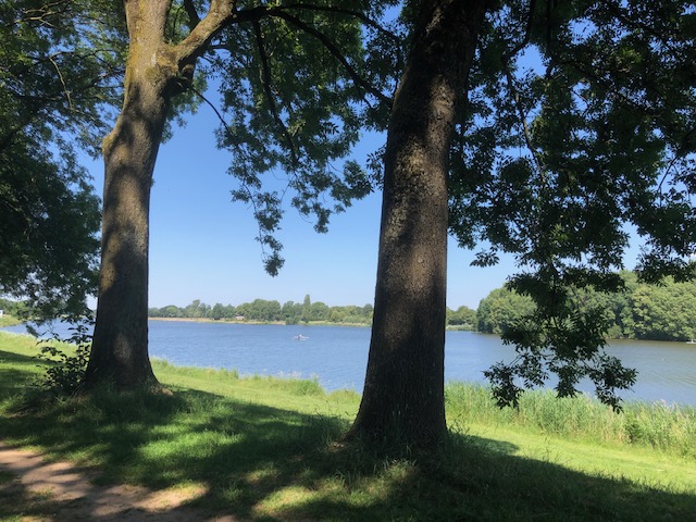 26.6. Besuch in der Kinderwildnis