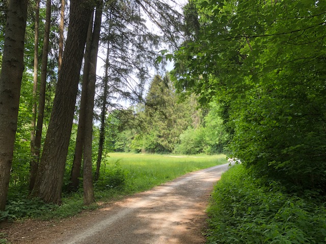 3.6. Einkaufstour in Dettenhausen (RT24)