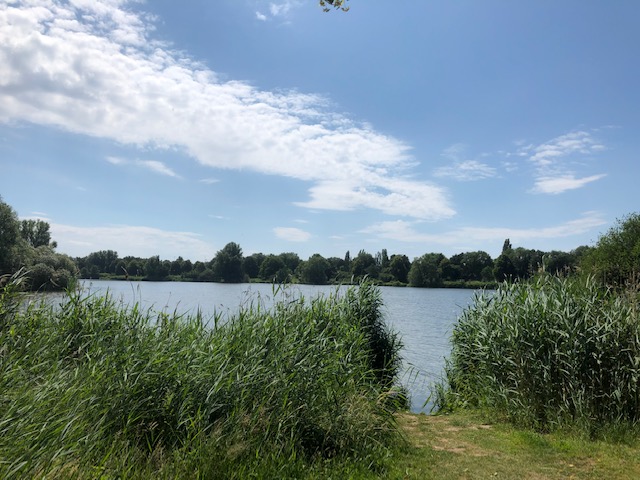 25.6. Unser erster Tag in Bremen