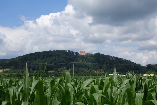 17.7. HDH Freitag (RT31)