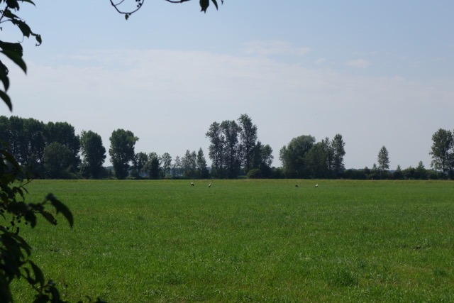 21.7. HDH Langenau (RT35)