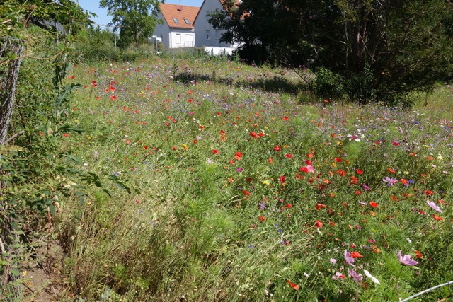 5.8. Radtour nach Nagold (RT37)