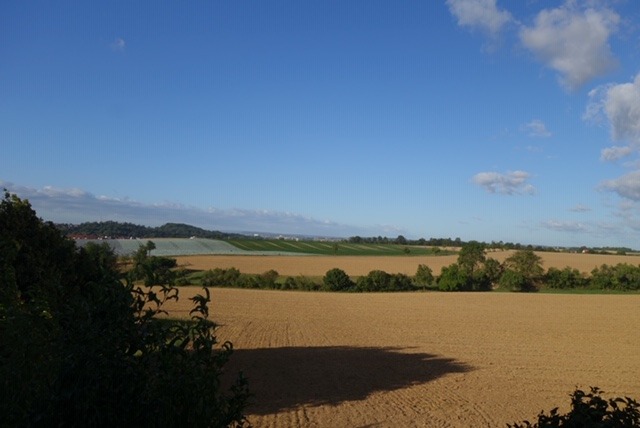 26.8. KoJa4: von Oedheim ins Kloster (RT47)