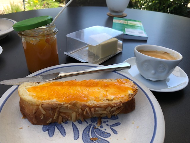 8.8. Aprikosengsälz