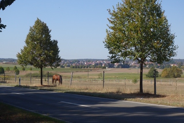 21.9. Pfalz: Alsenztal (RT58)