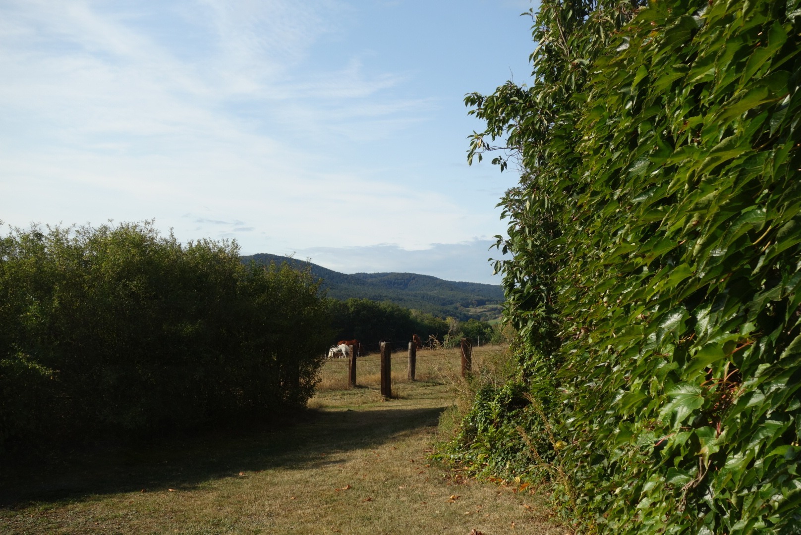 24.9. Pfalz: Radtour nach Worms (RT61)