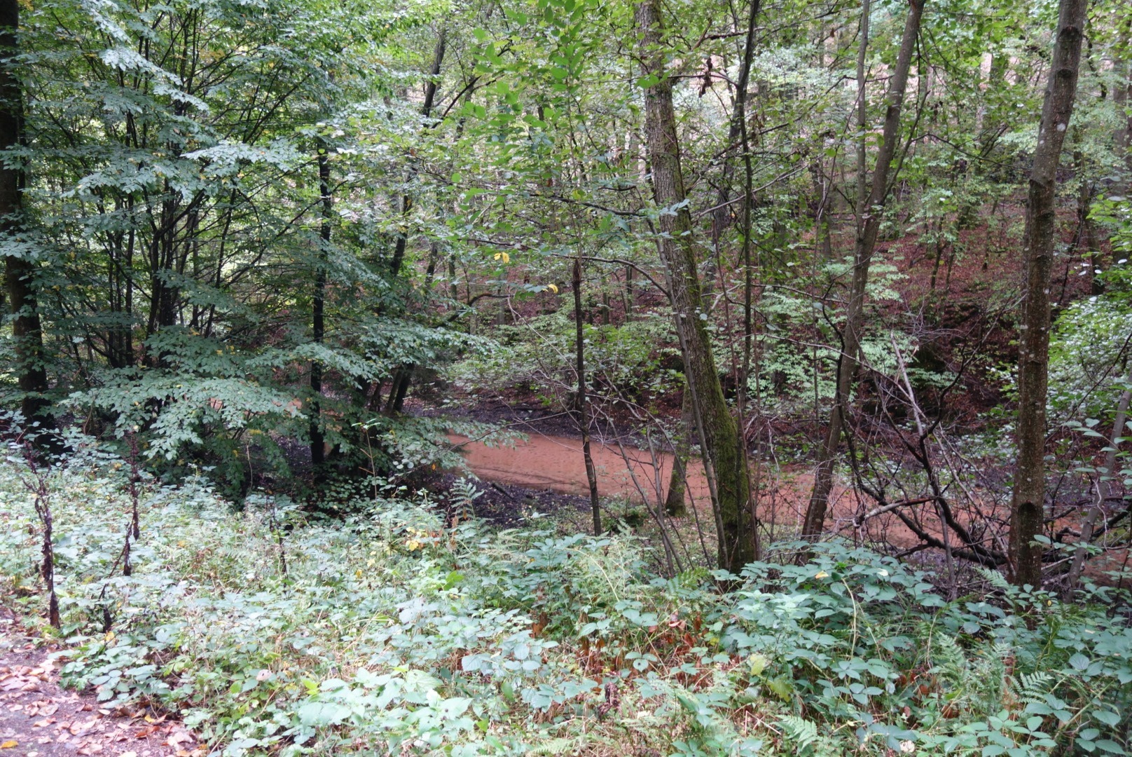 25.9. Pfalz: Leinbachtal