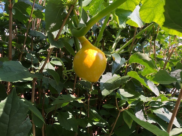 12.9. eine wunderschöne Woche