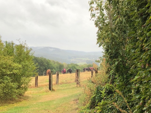 26.9. Pfalz: Der Abschied