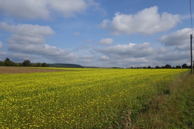 30.9. Radtour ins Siebmühlental (RT62)