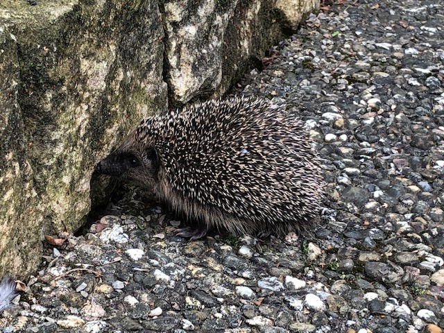 3.10. Wir bekommen Besuch