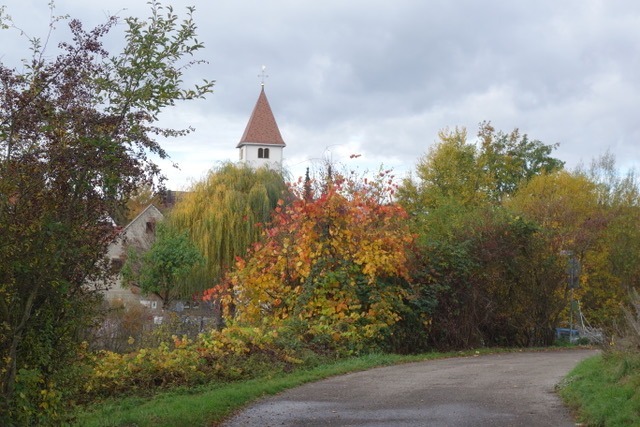 2.11. Corona Lockdown Tour (RT65)