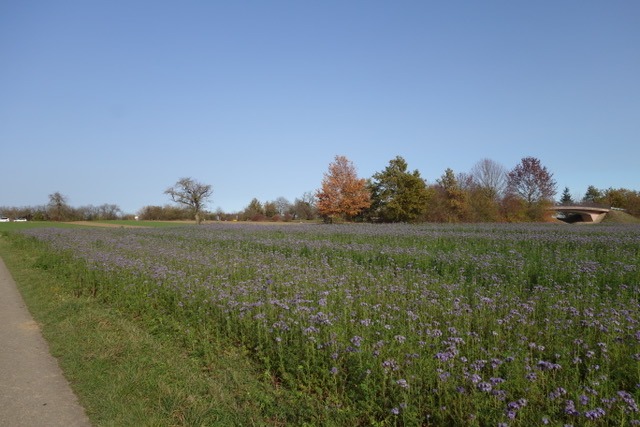 7.11. Die Corona Lockdown Tour geht weiter (RT67)