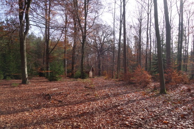 8.11. Ein Sonntag im Park (RT68)