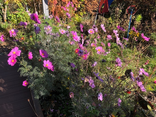 14.11. Die große Wanderrtour