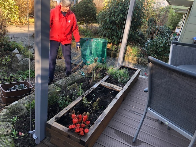 25.11. Gartenarbeit „Das ist Finale“