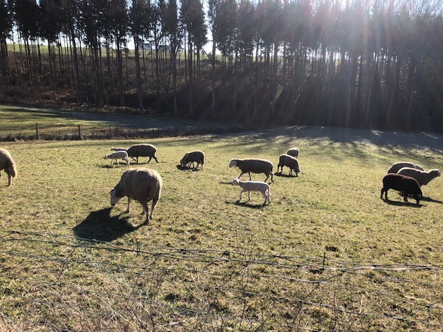 28.11. Samstagaktivitäten