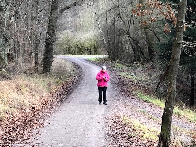 20.12. Sonntag im Wald