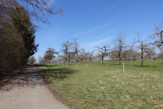 24.3. RT10 Einkaufen in Deckenpfronn