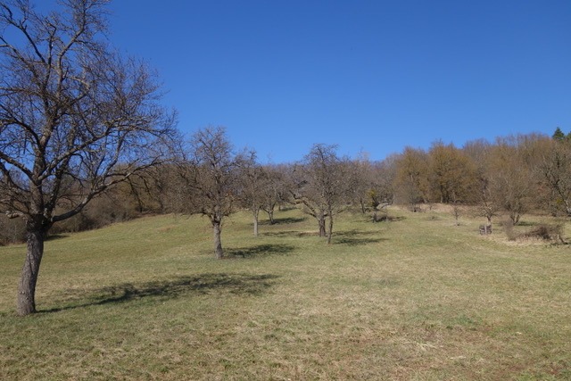 28.2. RT6 Waldenbuch