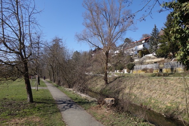 3.3. RT7 Besuch im Märchenwald