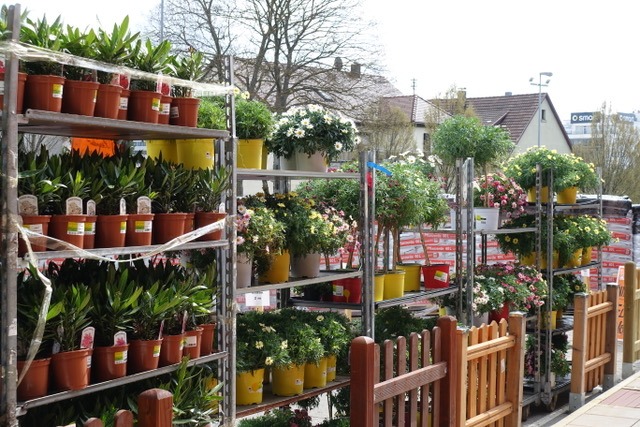 20.4. RT18 Zu den 7 Tannen