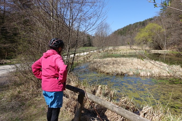 23.4. RT19 Einkaufen in Bondorf