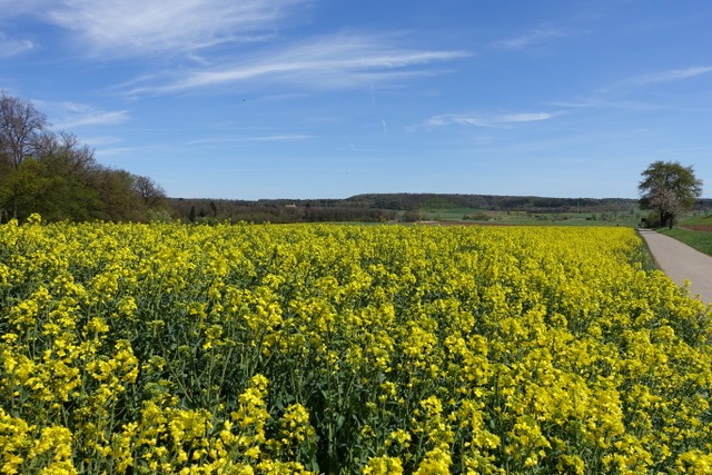 9.5. RT22 rund um BB