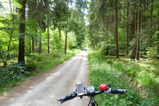 3.6. RT31 Wurmlingen (Fronleichnam)