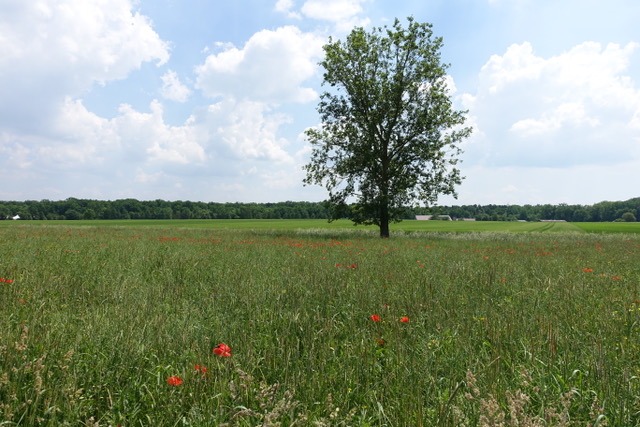 11.6. RT33 zu den 7 Tannen