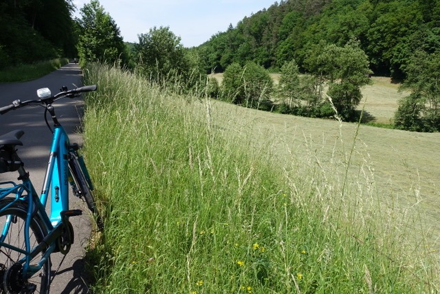 16.6. RT36 Körschtal und Indien