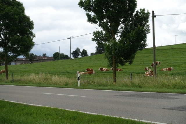 10.7. RT46 Ellwangen