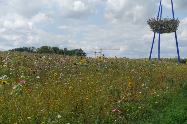 20.8. RT53 Enztal Tag 1