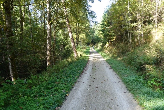 23.9. RT70 Schwarzwaldtour Tag 3: Titisee