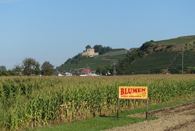 25.9. RT72 Schwarzwaldtour Tag 5: Offenburg / Freudenstadt