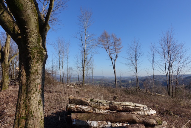 28.2. Fürstenberg: Besuch beim alten Hermann