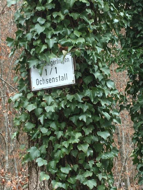 Spaziergang im Schnee