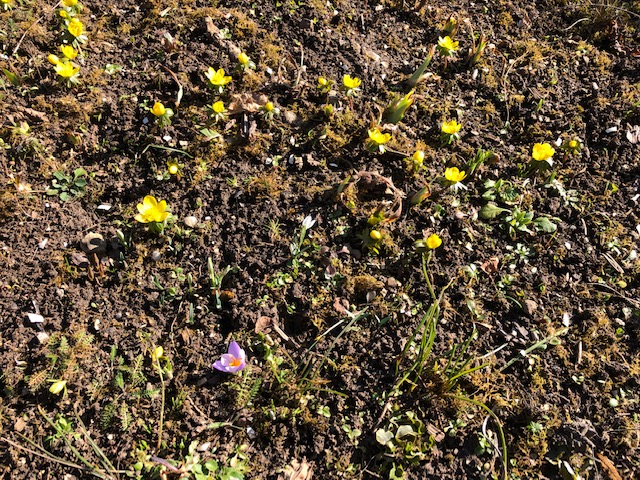 12.2 Spaziergang zur Burg