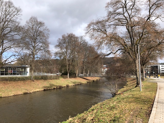 17.2. Augenarzttermin